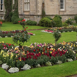 Garden maintenance in the Cirencester area